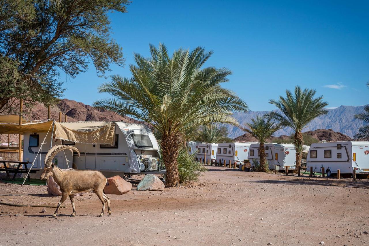 Park Timna Eilat