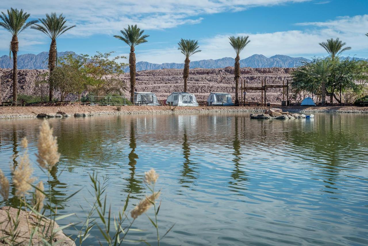 Park Timna Acampamento